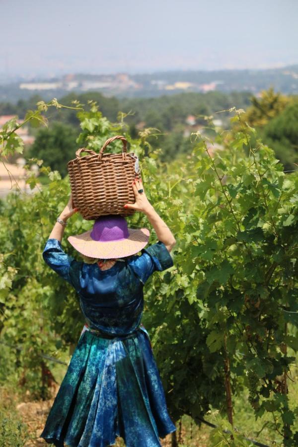 Villa Quinta Da Chapeleira Em Azeitão Exterior foto