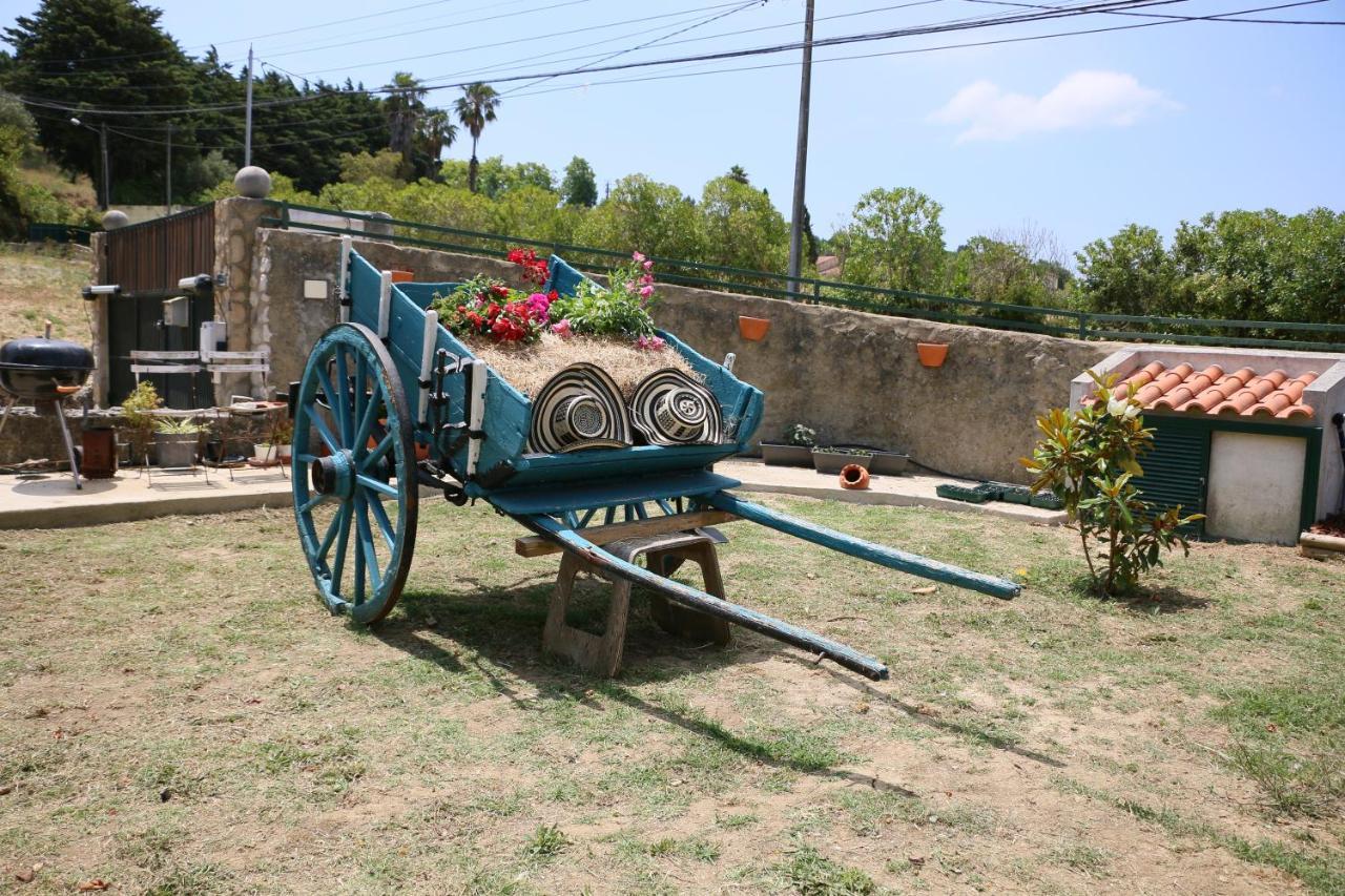 Villa Quinta Da Chapeleira Em Azeitão Exterior foto