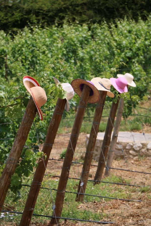 Villa Quinta Da Chapeleira Em Azeitão Exterior foto